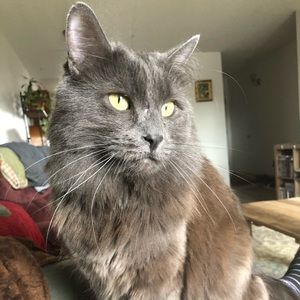 Meet your Posher, Rebecca